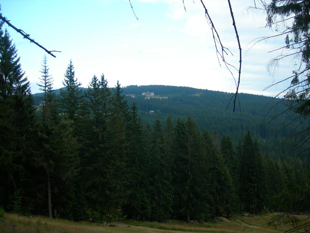 Apartmany Olympia Železná Ruda Екстериор снимка